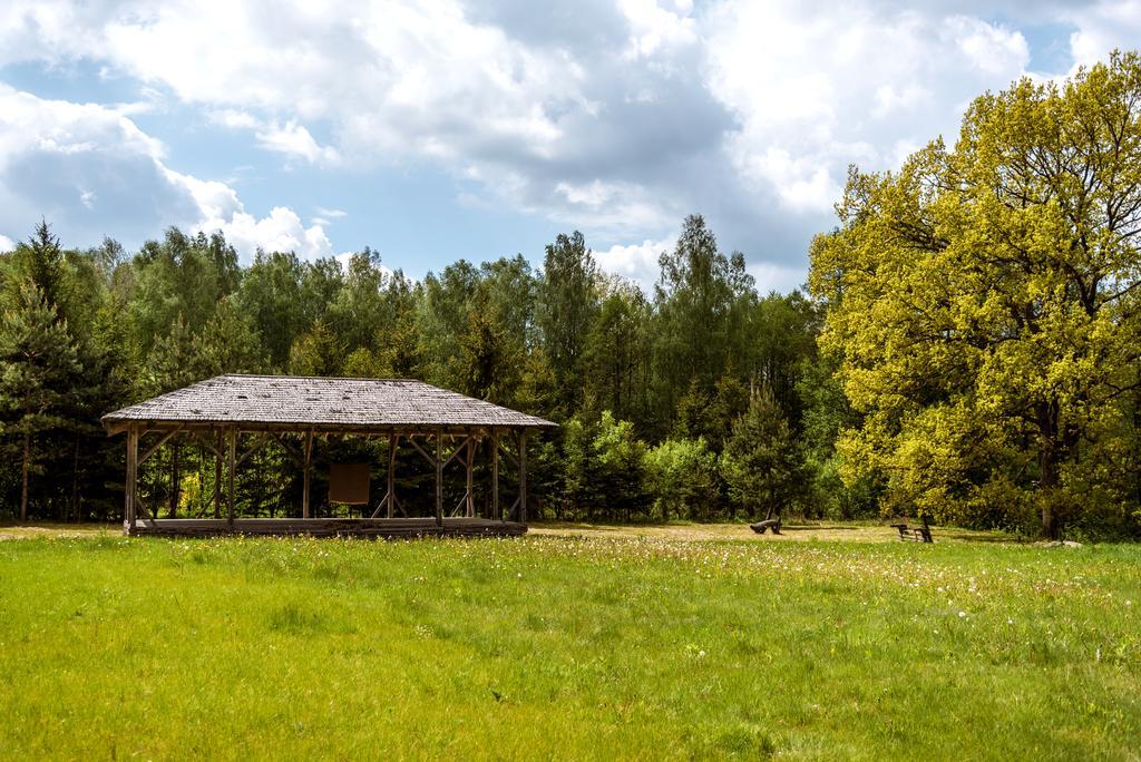 Vabalyne Guest House Vilkiskes Exterior photo