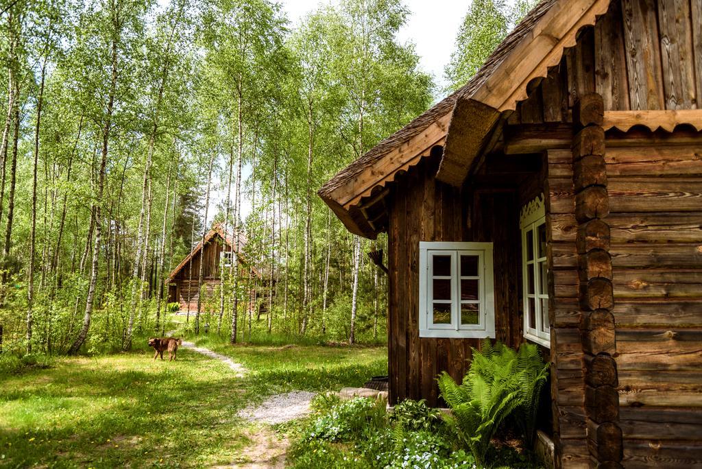 Vabalyne Guest House Vilkiskes Exterior photo
