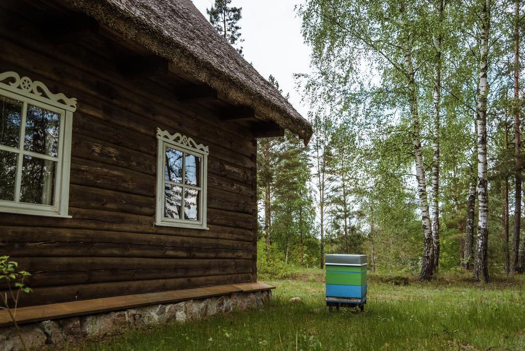 Vabalyne Guest House Vilkiskes Exterior photo