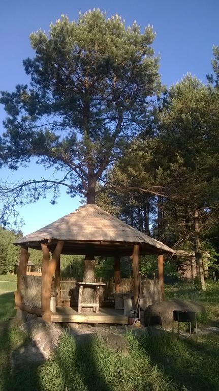 Vabalyne Guest House Vilkiskes Exterior photo